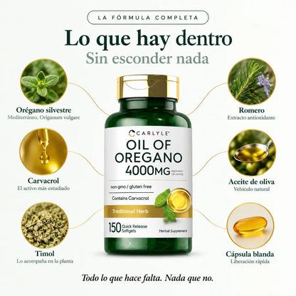 Oil Oregano